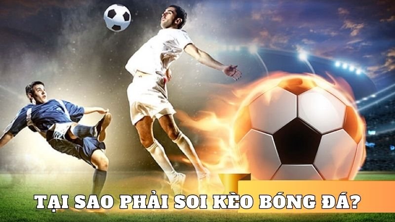 Tại sao phải soi kèo bóng đá?