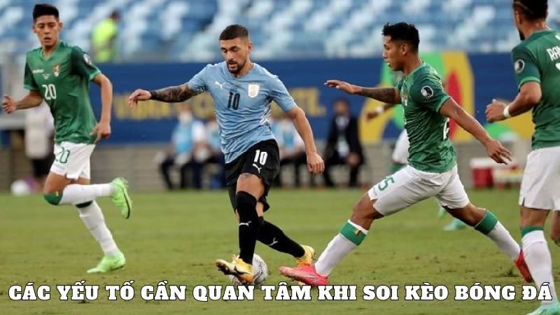 Các yếu tố cần quan tâm khi soi kèo bóng đá