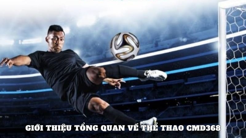 Giới thiệu tổng quan về thể thao CMD368