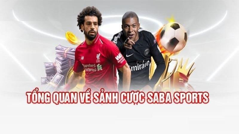sanh-the-thao-saba-1