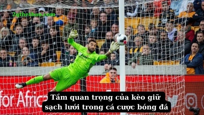 keo-giu-sach-luoi-1