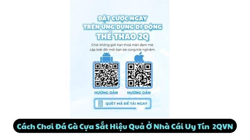 Cách Chơi Đá Gà Cựa Sắt Hiệu Quả Ở Nhà Cái Uy Tín 2QVN