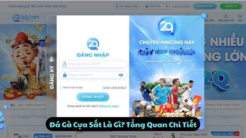 Đá Gà Cựa Sắt Là Gì? Tổng Quan Chi Tiết