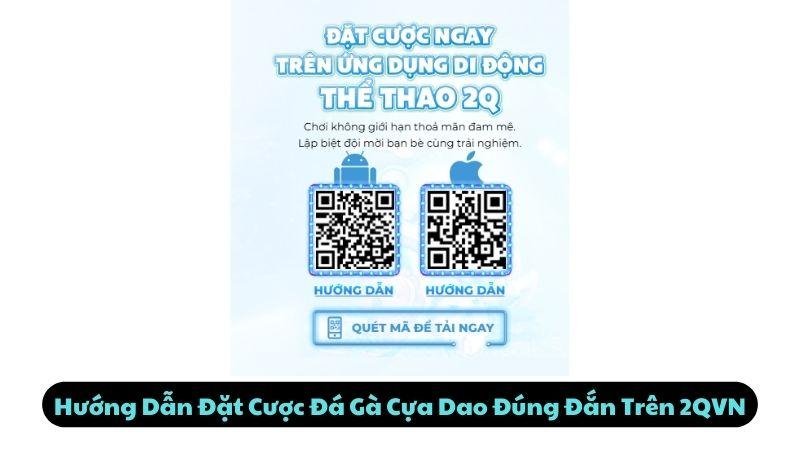 Hướng Dẫn Đặt Cược Đá Gà Cựa Dao Đúng Đắn Trên 2QVN