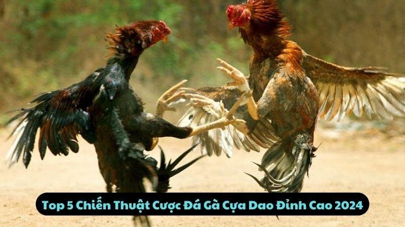 Top 5 Chiến Thuật Cược Đá Gà Cựa Dao Đỉnh Cao 2024