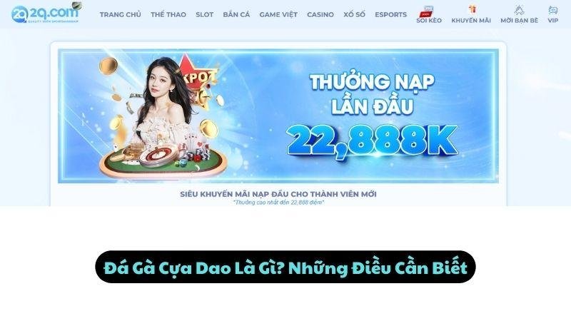 Đá Gà Cựa Dao Là Gì? Những Điều Cần Biết
