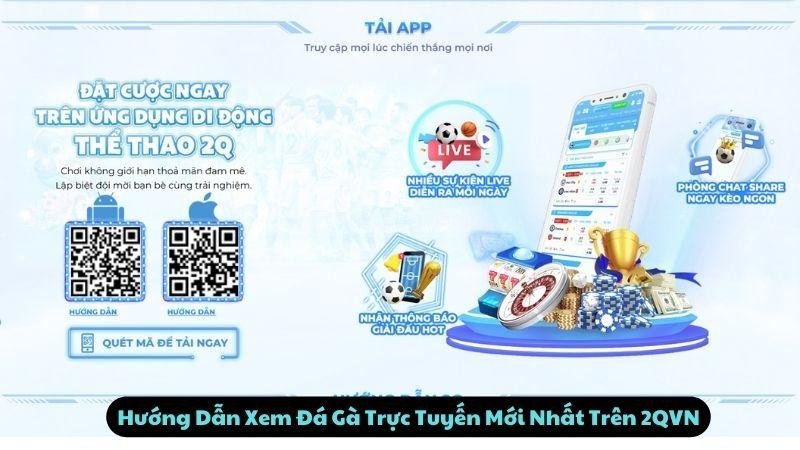 Hướng Dẫn Xem Đá Gà Trực Tuyến Mới Nhất Trên 2QVN