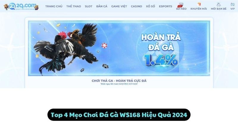 Top 4 Mẹo Chơi Đá Gà WS168 Hiệu Quả 2024