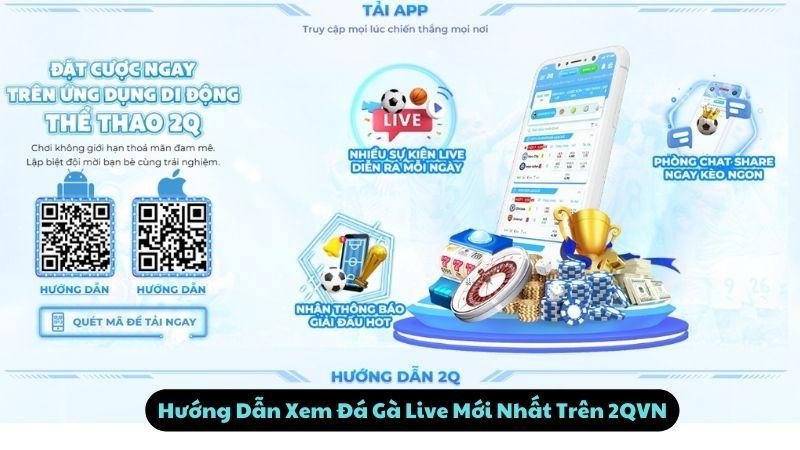 Hướng Dẫn Xem Đá Gà Live Mới Nhất Trên 2QVN
