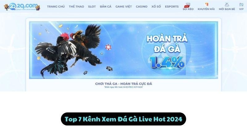 Top 7 Kênh Xem Đá Gà Live Hot 2024