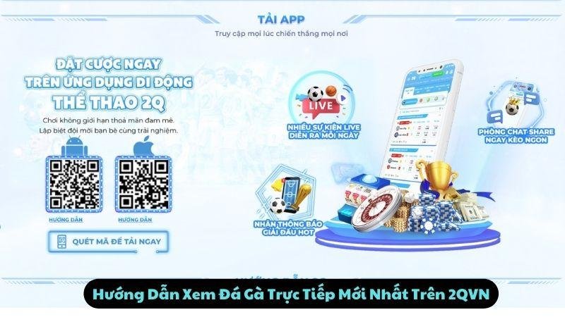 Hướng Dẫn Xem Đá Gà Trực Tiếp Mới Nhất Trên 2QVN