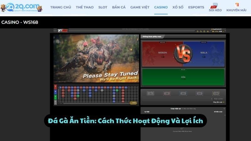 Đá Gà Ăn Tiền: Cách Thức Hoạt Động Và Lợi Ích