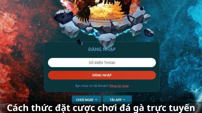 Cách thức tham gia đặt cược chơi đá gà trực tuyến 