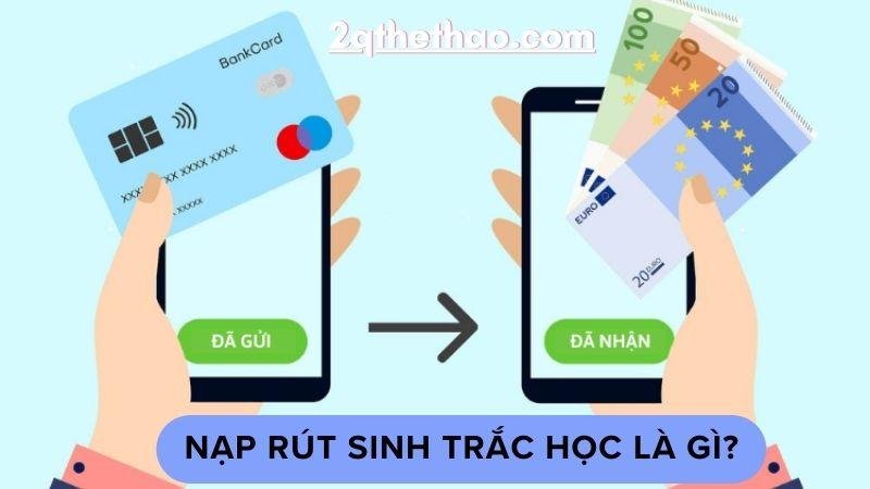 nap-rut-sinh-trac-hoc-1