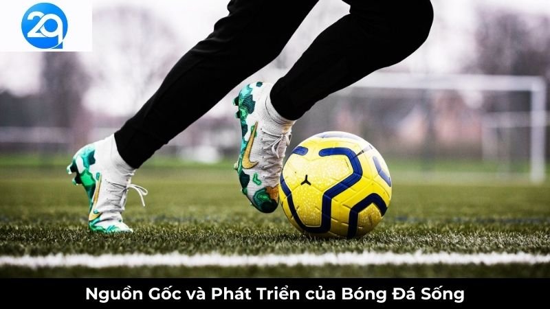 bong-da-song-1