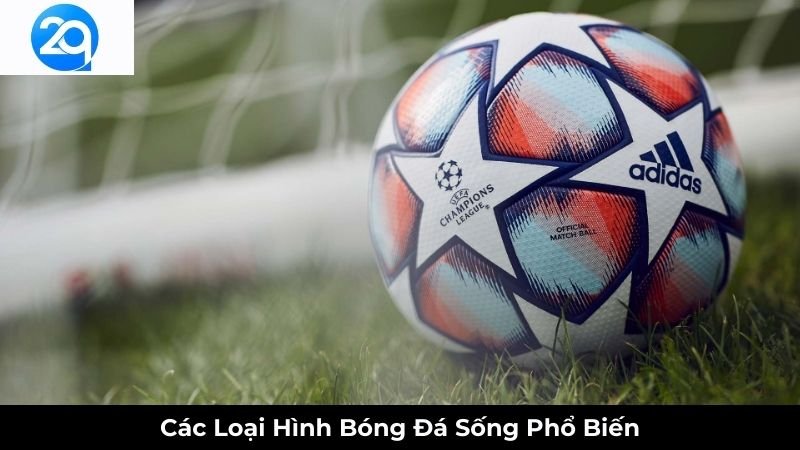 bong-da-song-2