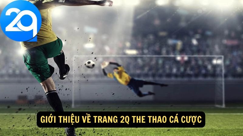 trang-2q-the-thao-1