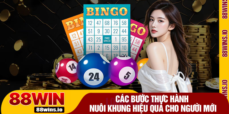 Các Bước Thực Hành Nuôi Khung Hiệu Quả Cho Người Mới