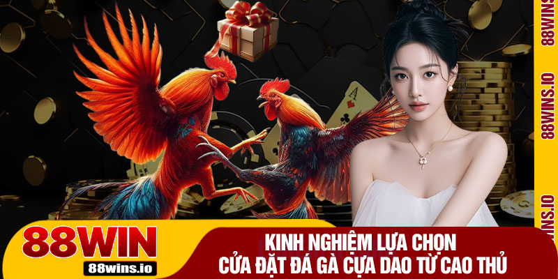 Kinh Nghiệm Lựa Chọn Cửa Đặt Đá Gà Cựa Dao Từ Cao Thủ