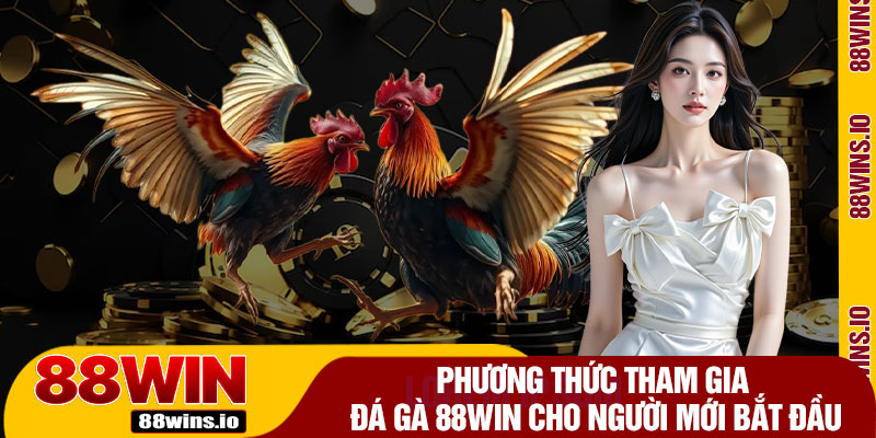 Phương Thức Tham Gia Đá Gà 88WIN Cho Người Mới Bắt Đầu
